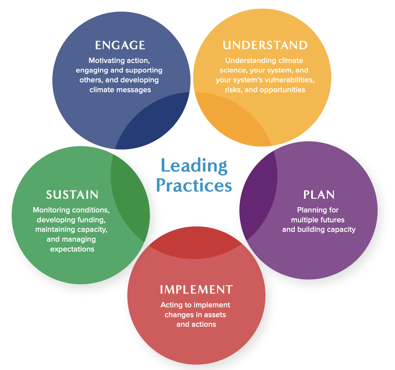 Leading Practices Figure