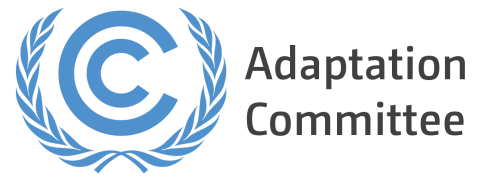 Profile picture for user UNFCCC Adaptation Committee